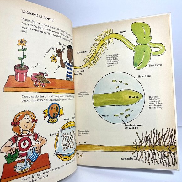Wonder Why Book Of Fun With A Magnifying Glass By Arnold Darlington 1978 - Picture 3 of 6